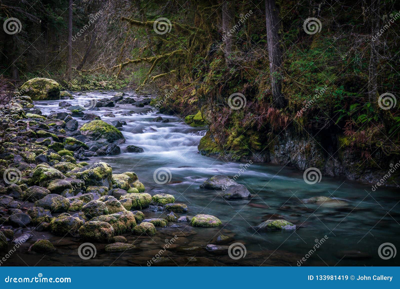 Quilcene River stock image. Image of nature, fall, summer 133981419
