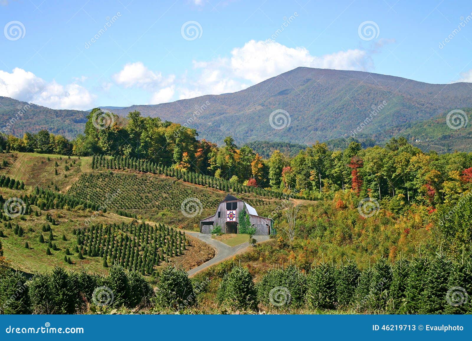 Quilt Barn in Christmas Tree Farm Stock Image Image of barn, storage