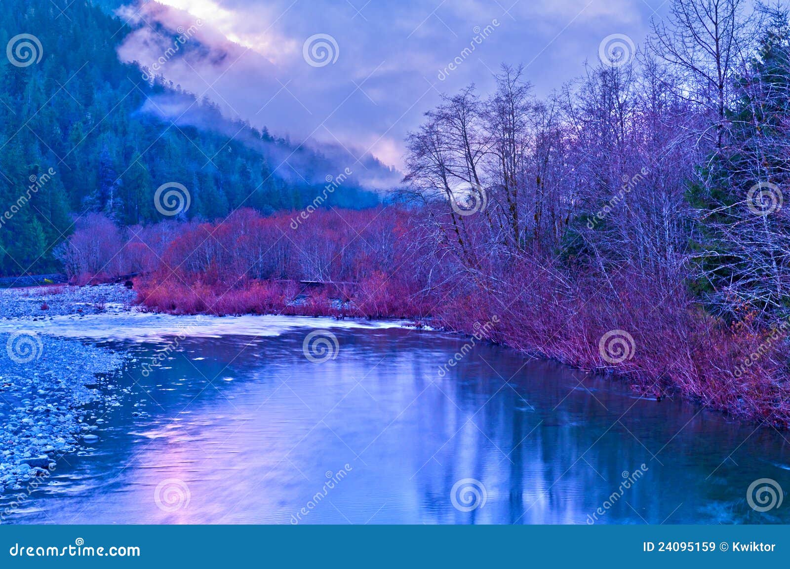 Quinault Valley stock image. Image of stream, beauty 24095159
