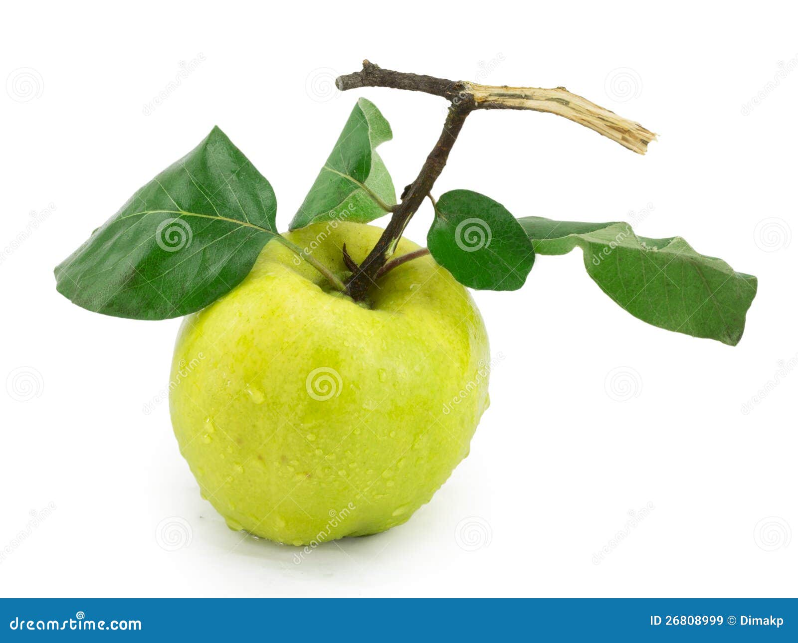 Can Dogs Eat Quince Apples