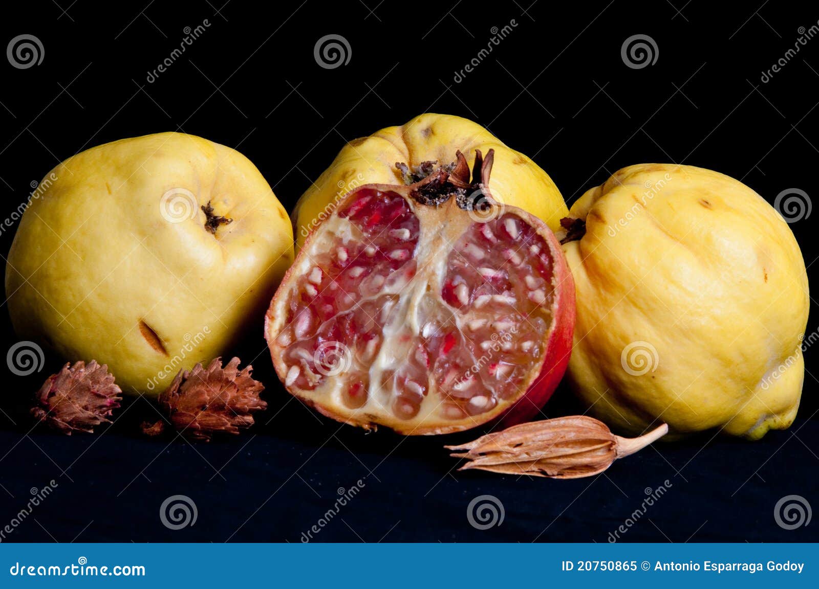 Quince detail stock image. Image of inside, arrangement 20750865