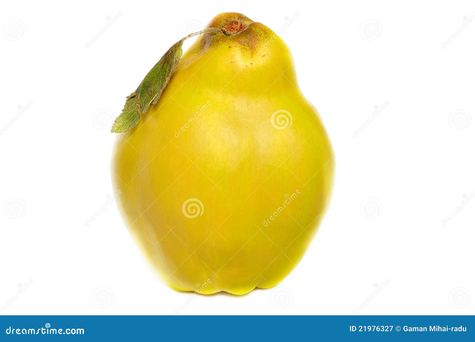 Quince Fruit And Bowl With Quince Cheese Or Marmelada Is A Sweet, Thick