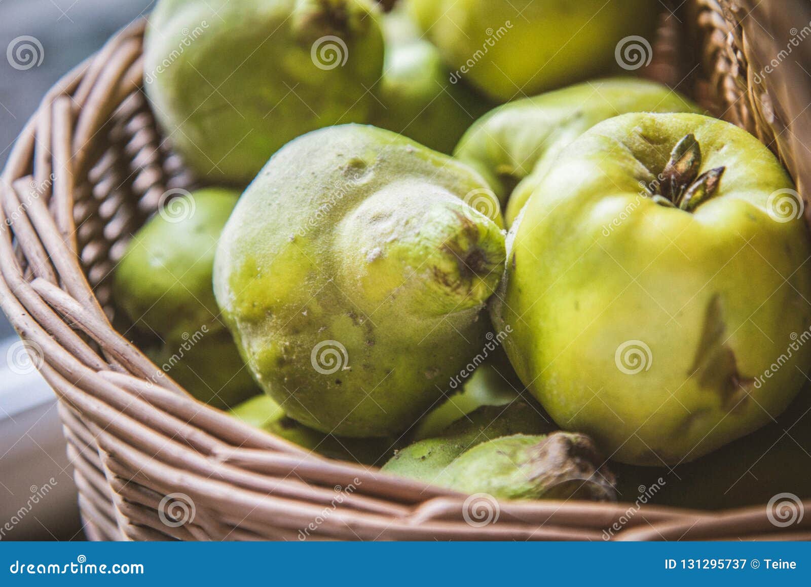 Quince fruit stock image. Image of environment, pome 131295737