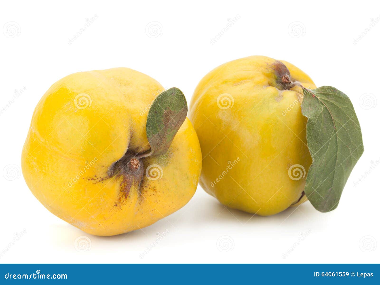 Quince fruit closeup stock image. Image of ingredient 64061559