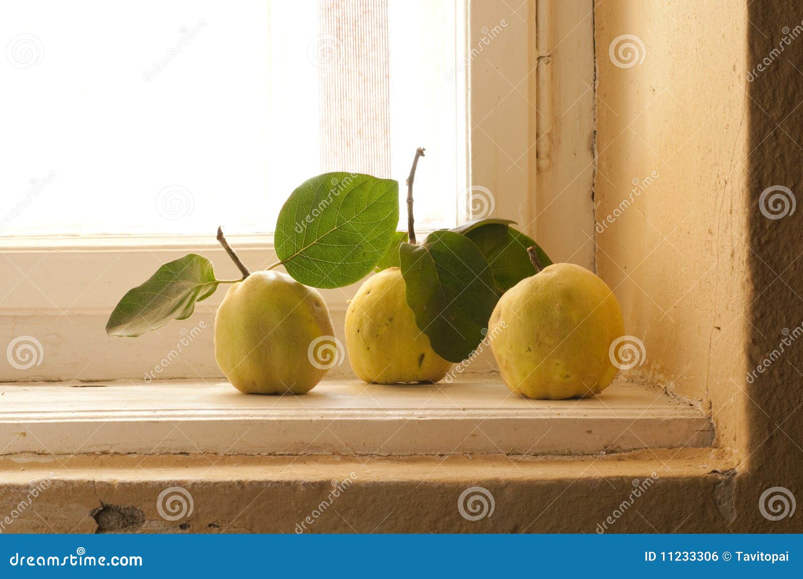 quince on the window sill