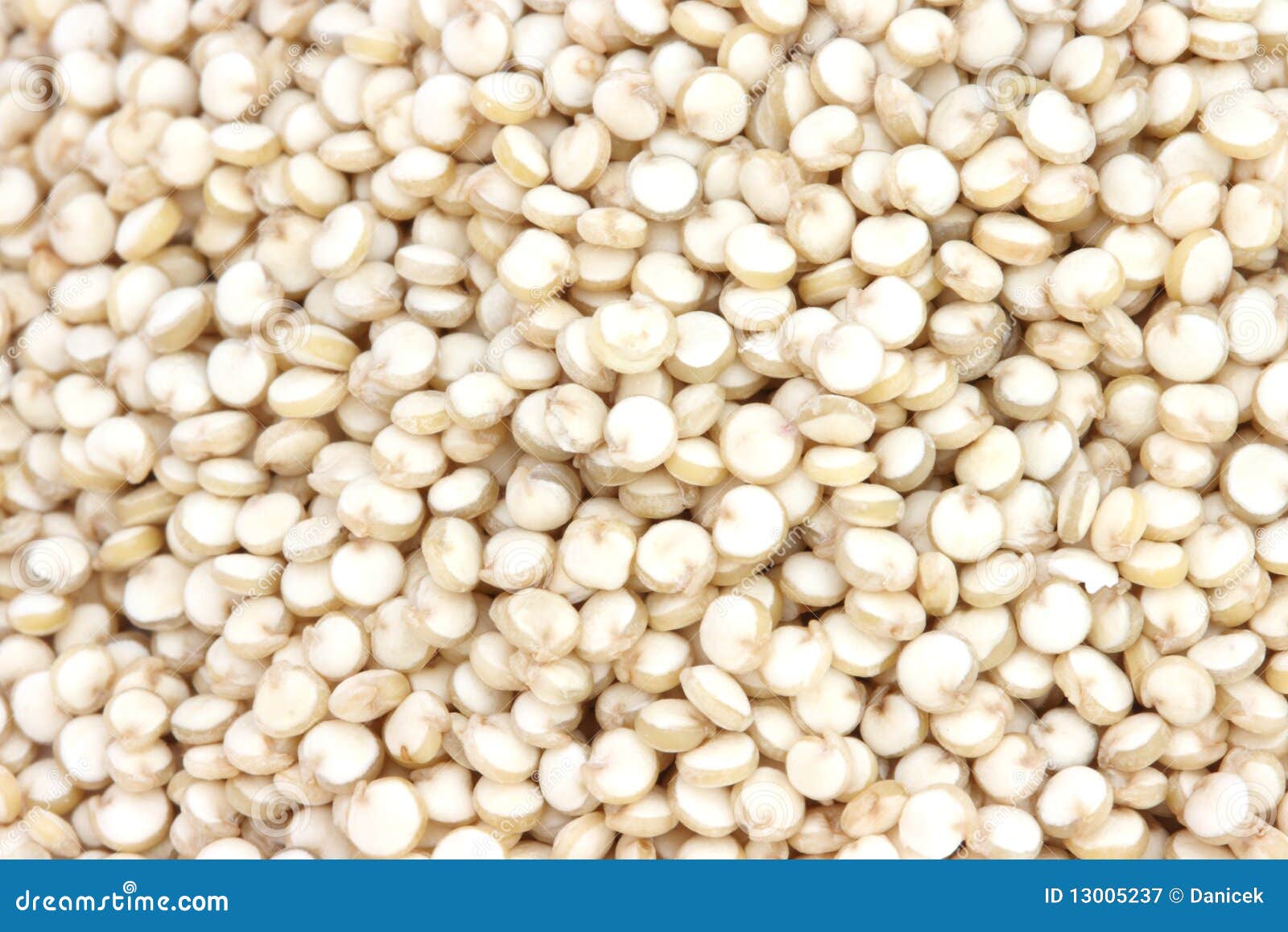 Quinoa stock image. Image of seeds, close, scattered 13005237