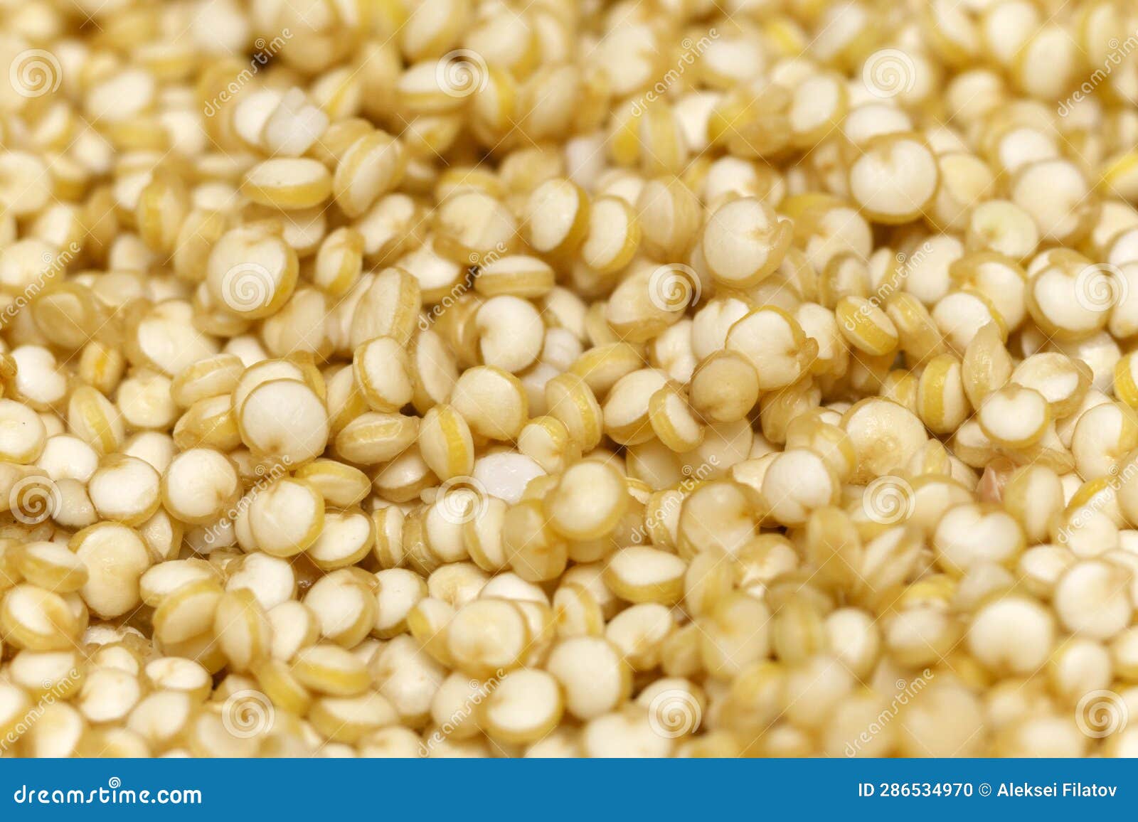 Quinoa Closeup Macro, Selective Focus. Food Cooking Texture Stock Photo Image of background