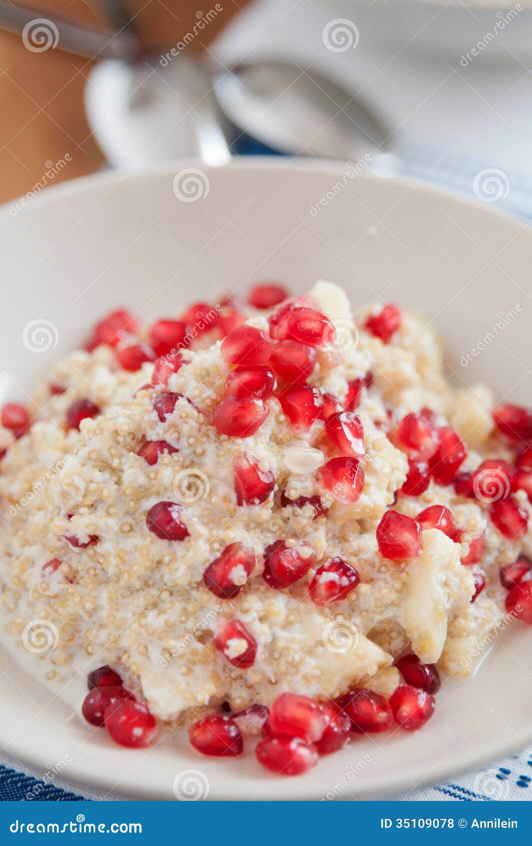 Quinoa Coconut Milk Rice Pudding Stock Photo Image of porridge, fresh