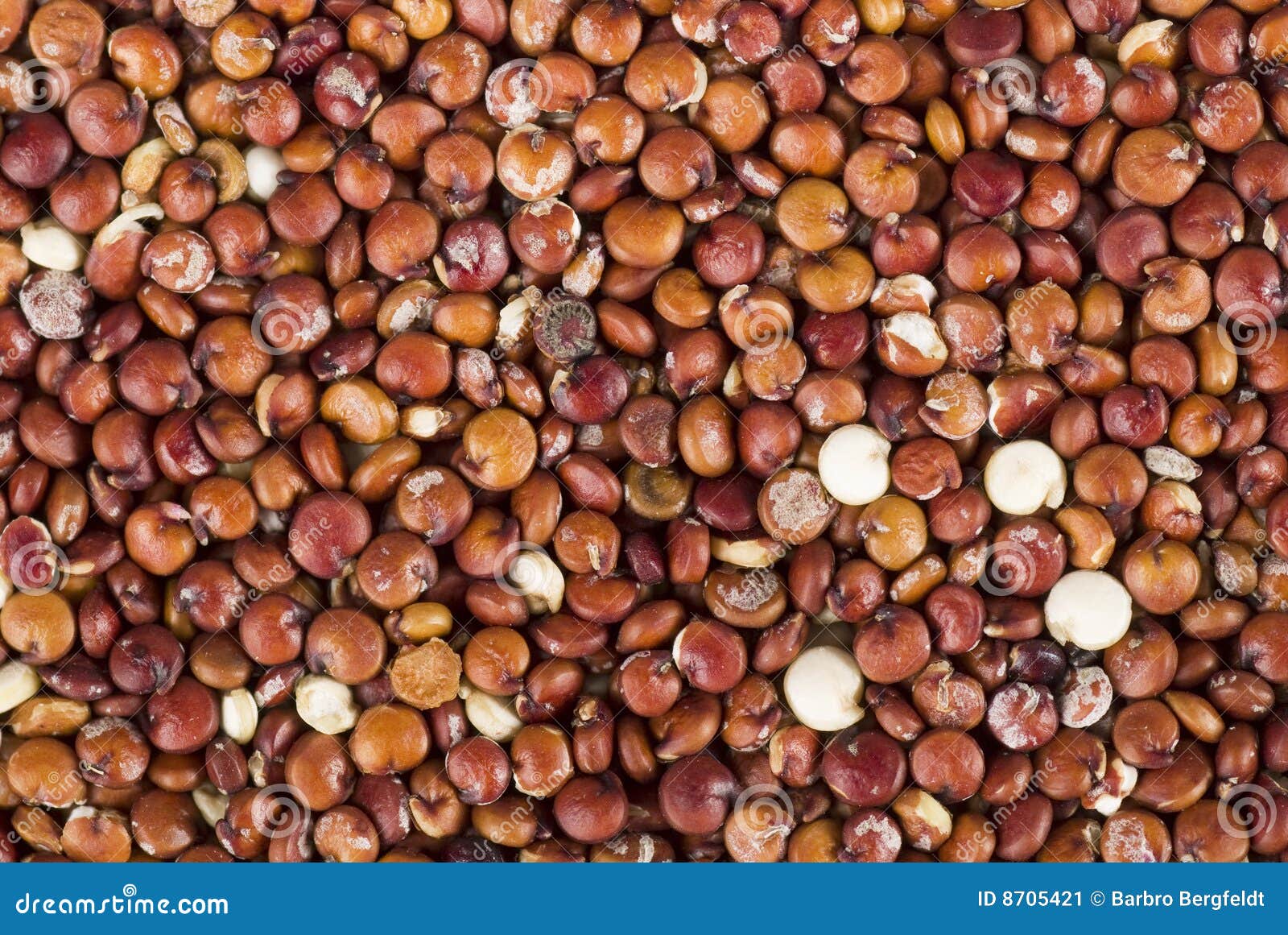 Quinoa rouge image stock. Image du nourriture, céréale 8705421