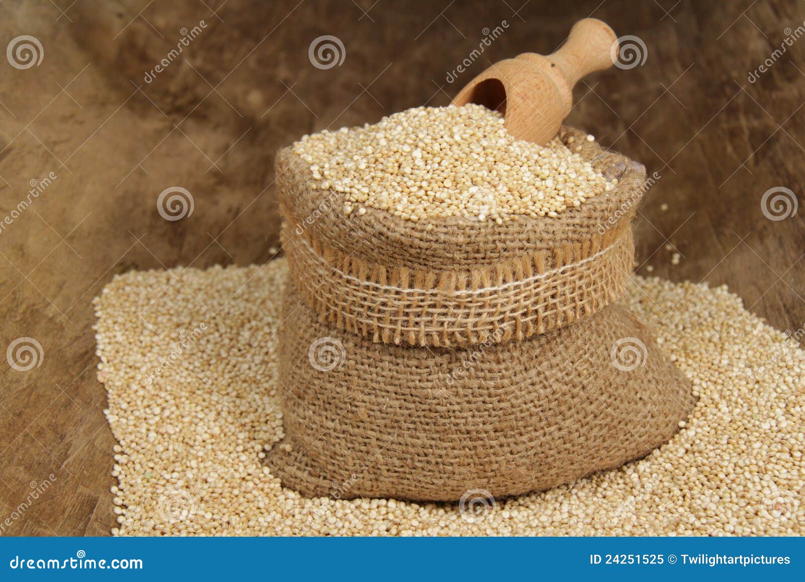 Quinoa seeds stock image. Image of quechua, nostalgia 24251525