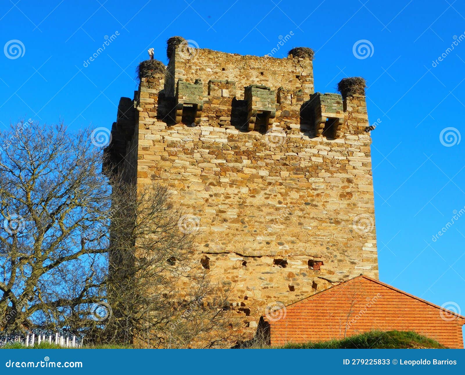 casttle of quintana of marco, leÃ³n, zamora, spain