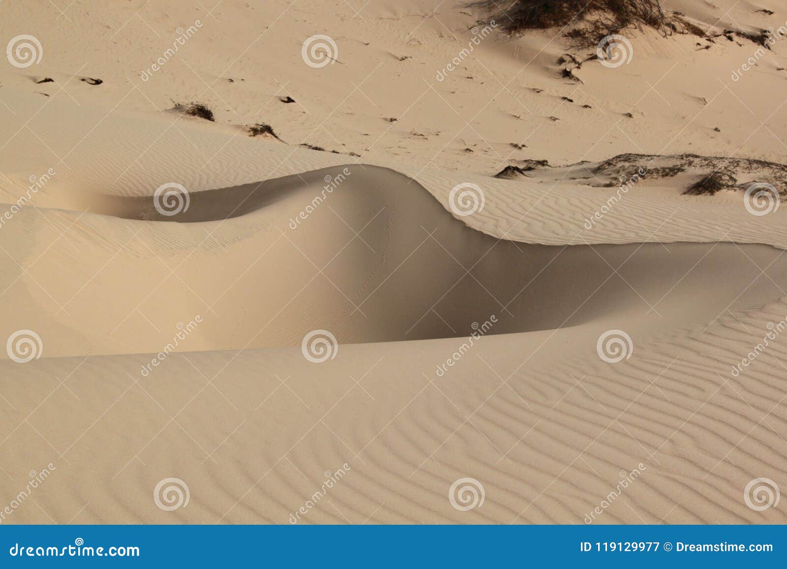 Quirks of the Desert. Nora in the Sand Dune Stock Image - Image of  beautiful, double: 119129977