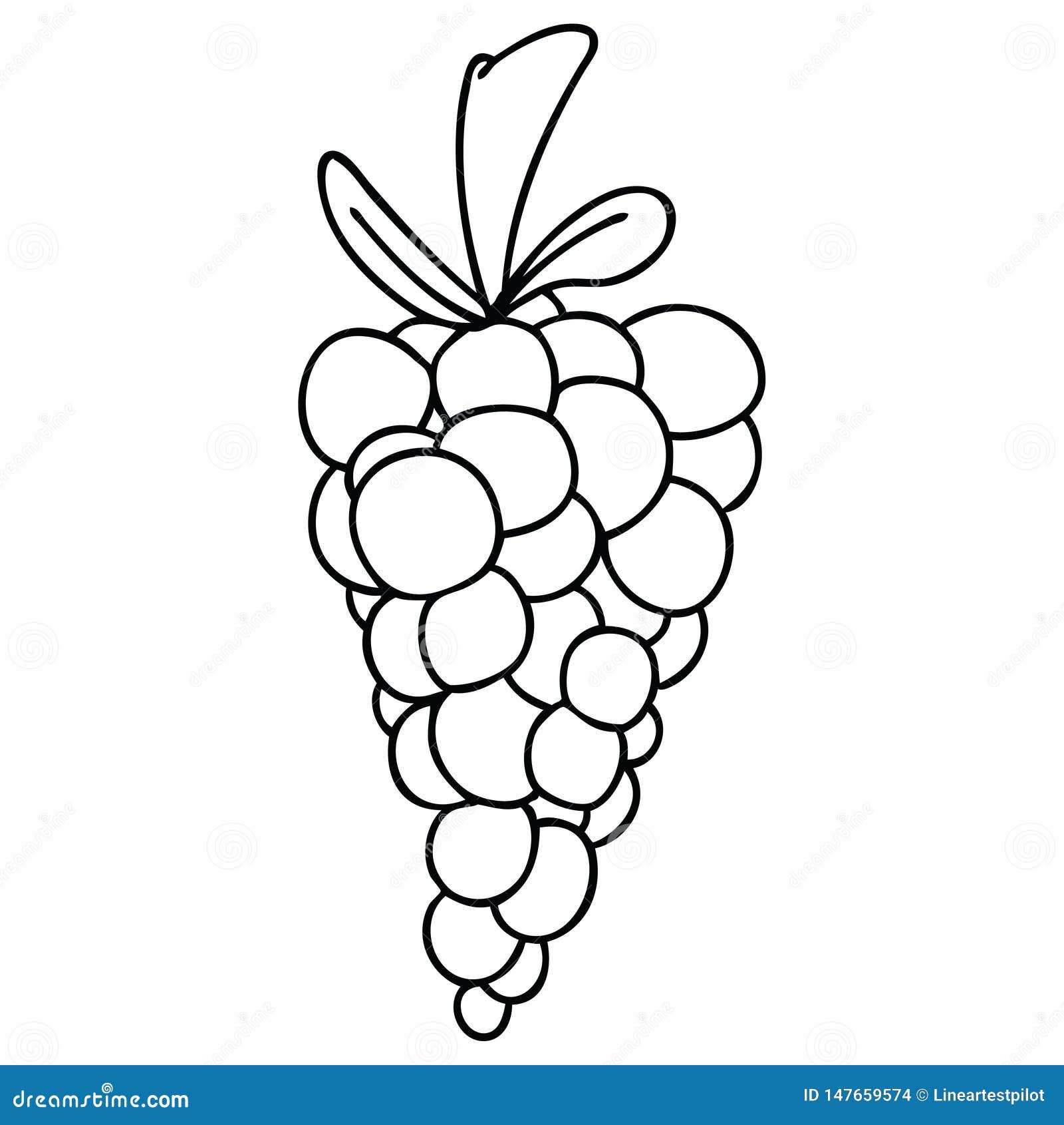 How to Draw Grapes Step by Step - EasyLineDrawing