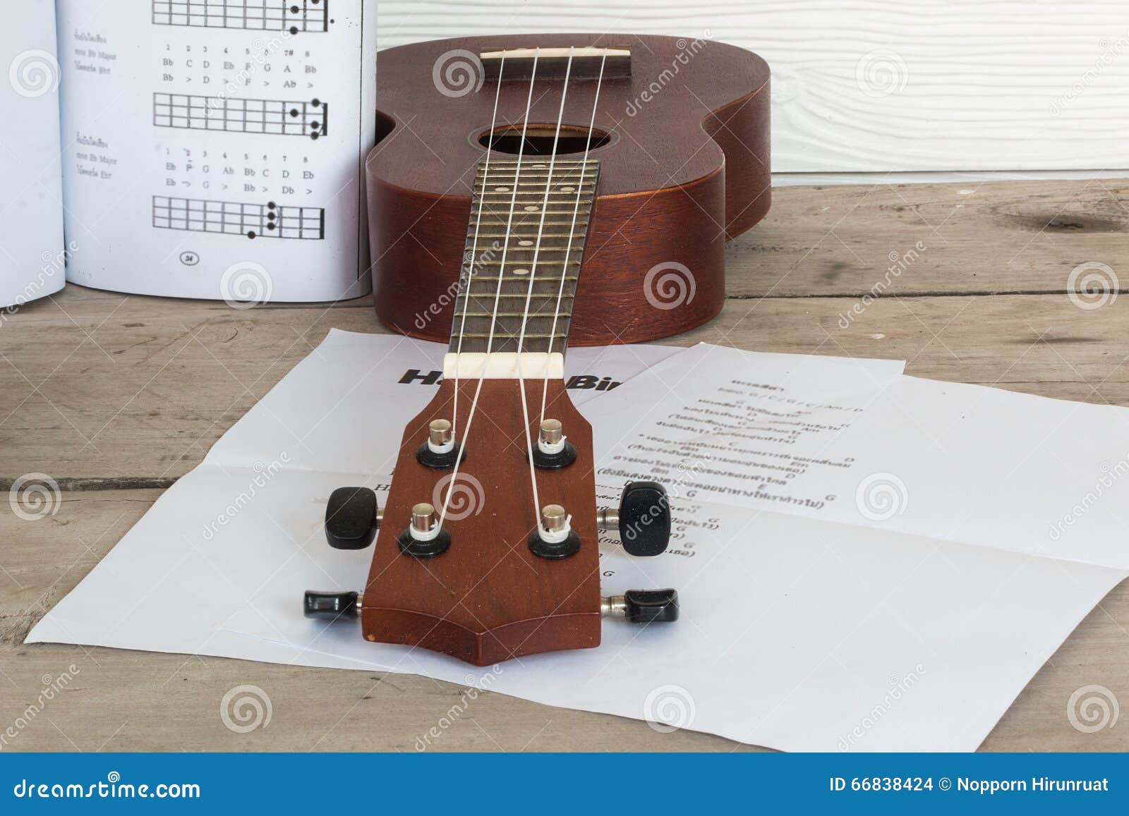 quitar or ukulele