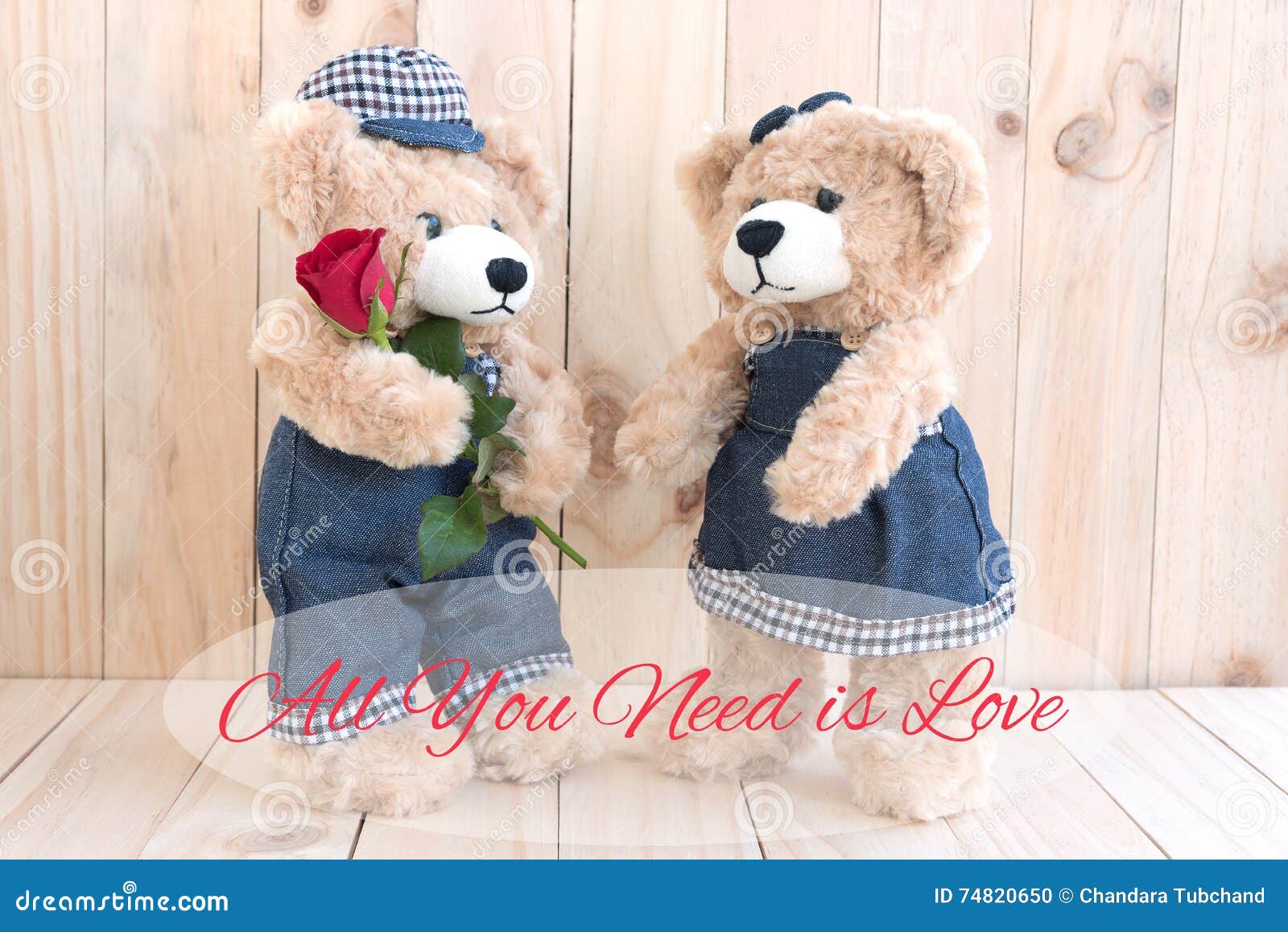 Quote All You Need is Love with Couple Teddy Bear Stock ...