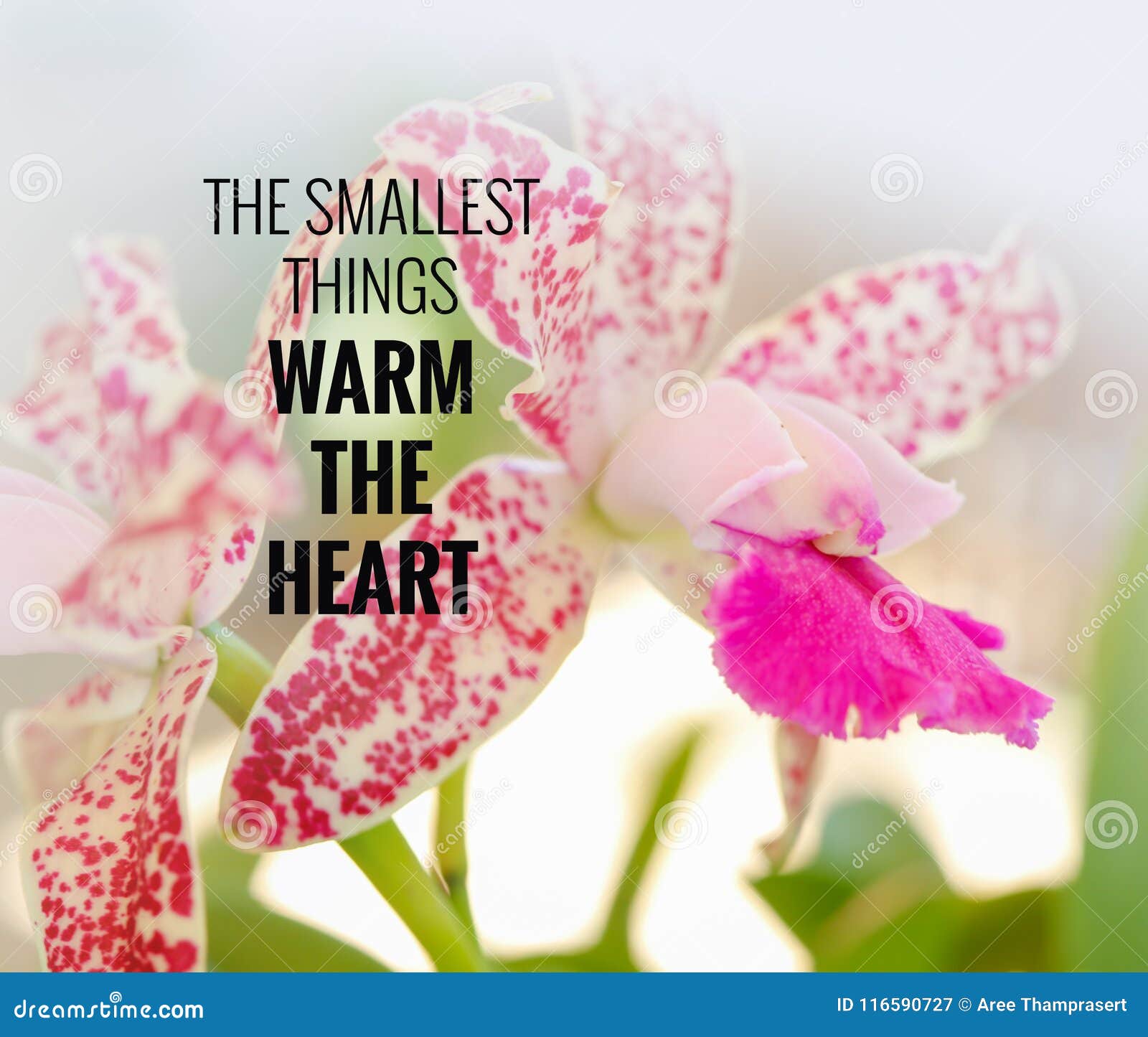 quote- the smallest things warm the heart