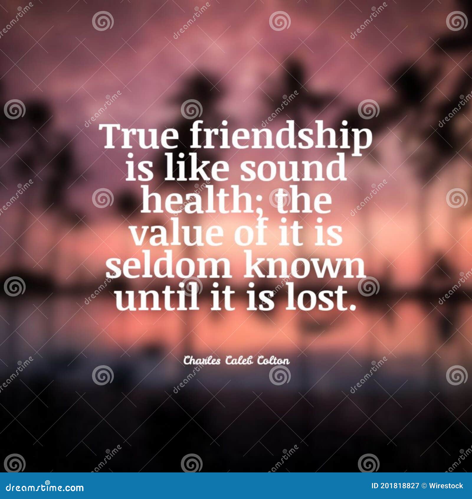 the value of true friendship