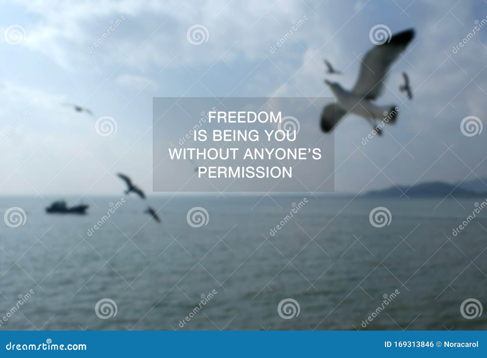 Quotes - Freedom is Being You without Anyone`s Permission Stock Photo - Image of positive, beautiful: 169313846 Quotes - Freedom is Being You without Anyone`s Permission Stock Photo - Image of positive, beautiful: 169313846