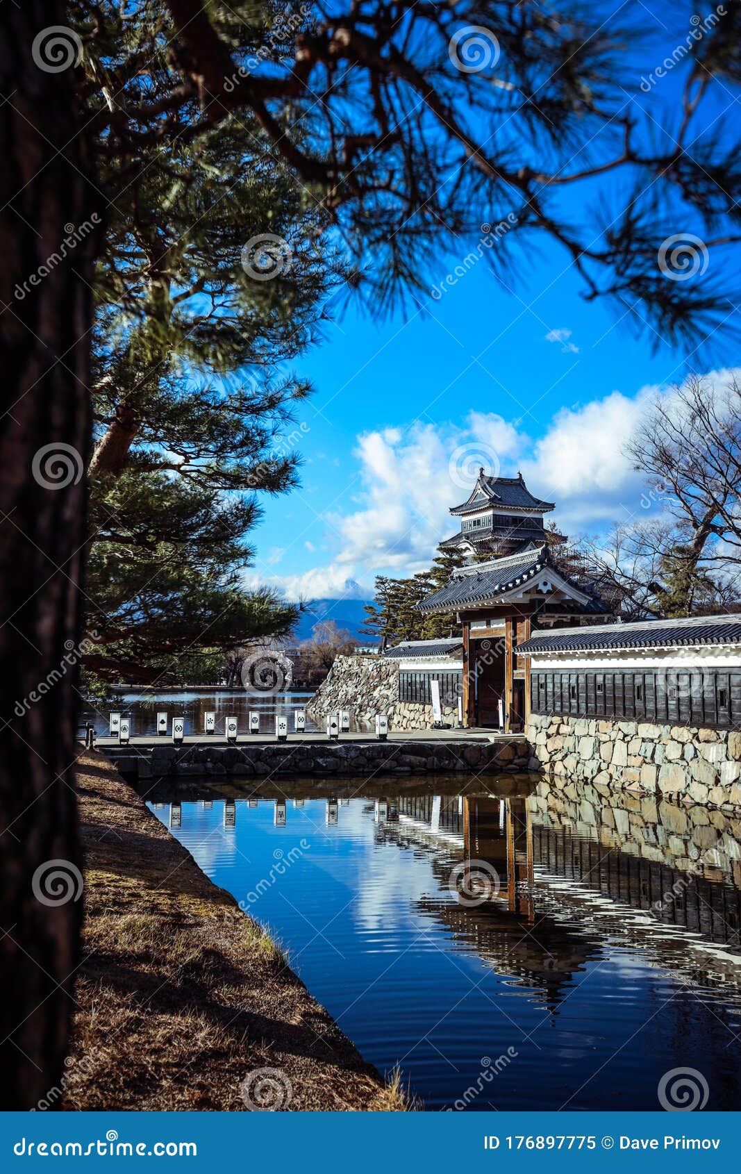 Réflexion Du Château De Matsumoto Dans La Surface De L'eau Image stock -  Image du honshu, attraction: 176897775