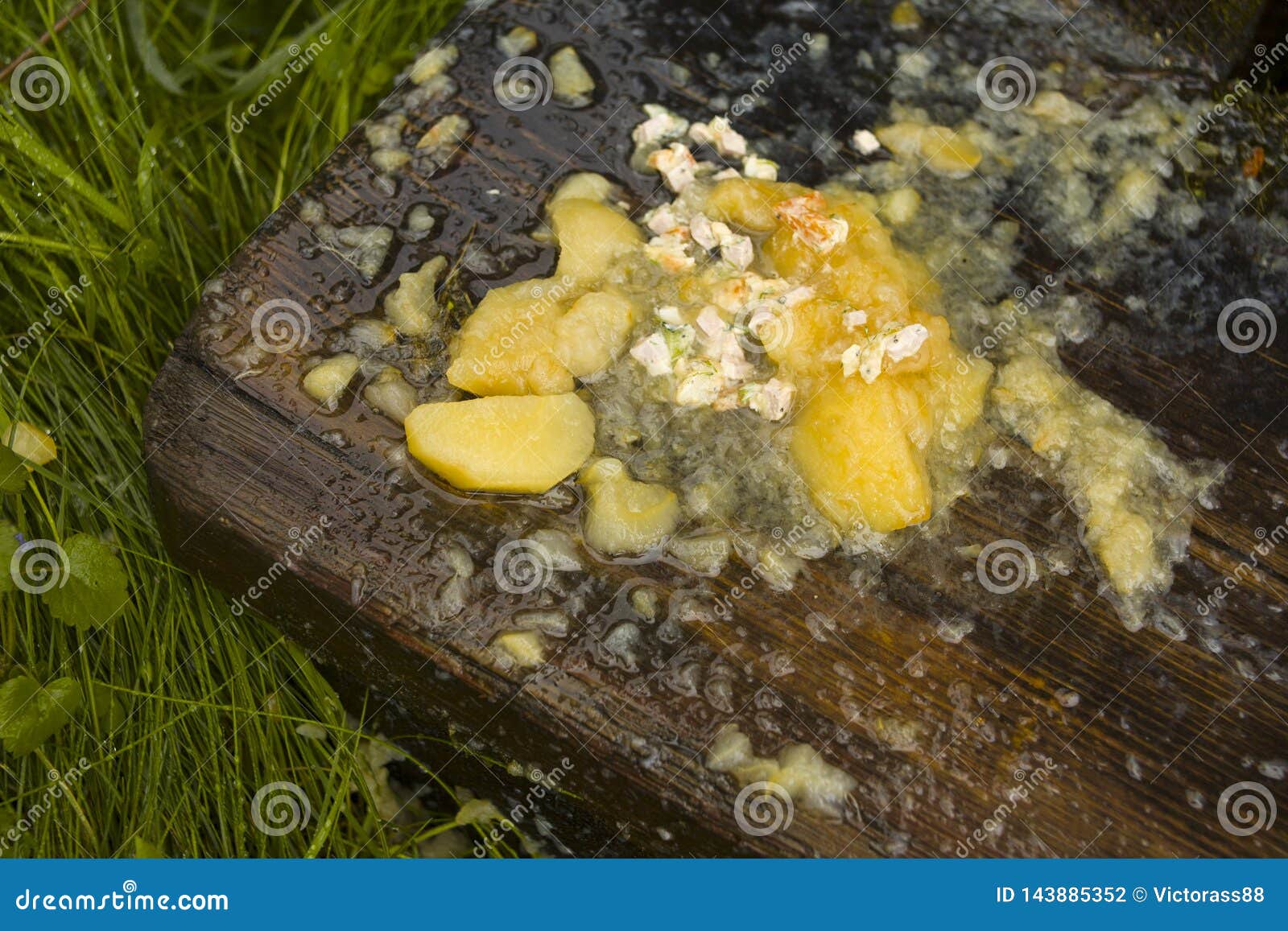 Repugnant Regard Du Vomi Photo Stock Image Du Mauvais Repugnant Regard Du Vomi Photo Stock Image Du Mauvais