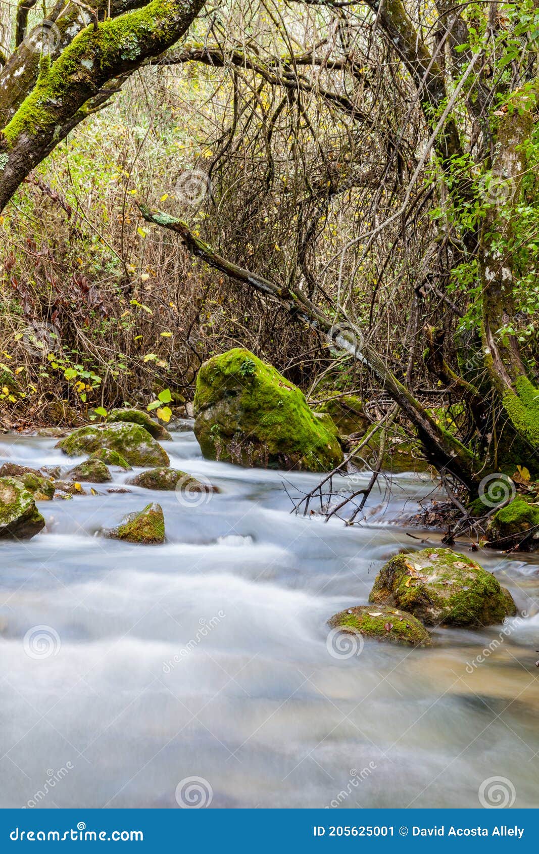 Rio majaceite, el bosque, cádiz, espanha