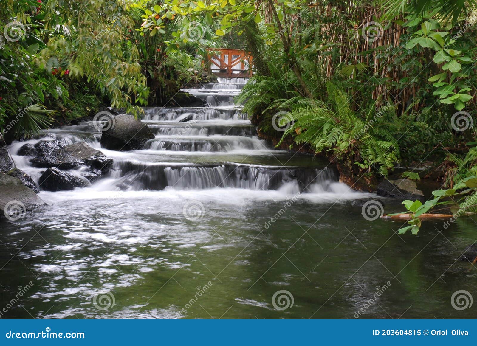 Río Termal En Las Aguas Termales De Tabacon En Costa Rica Imagen de archivo Imagen de bosque: 203604815