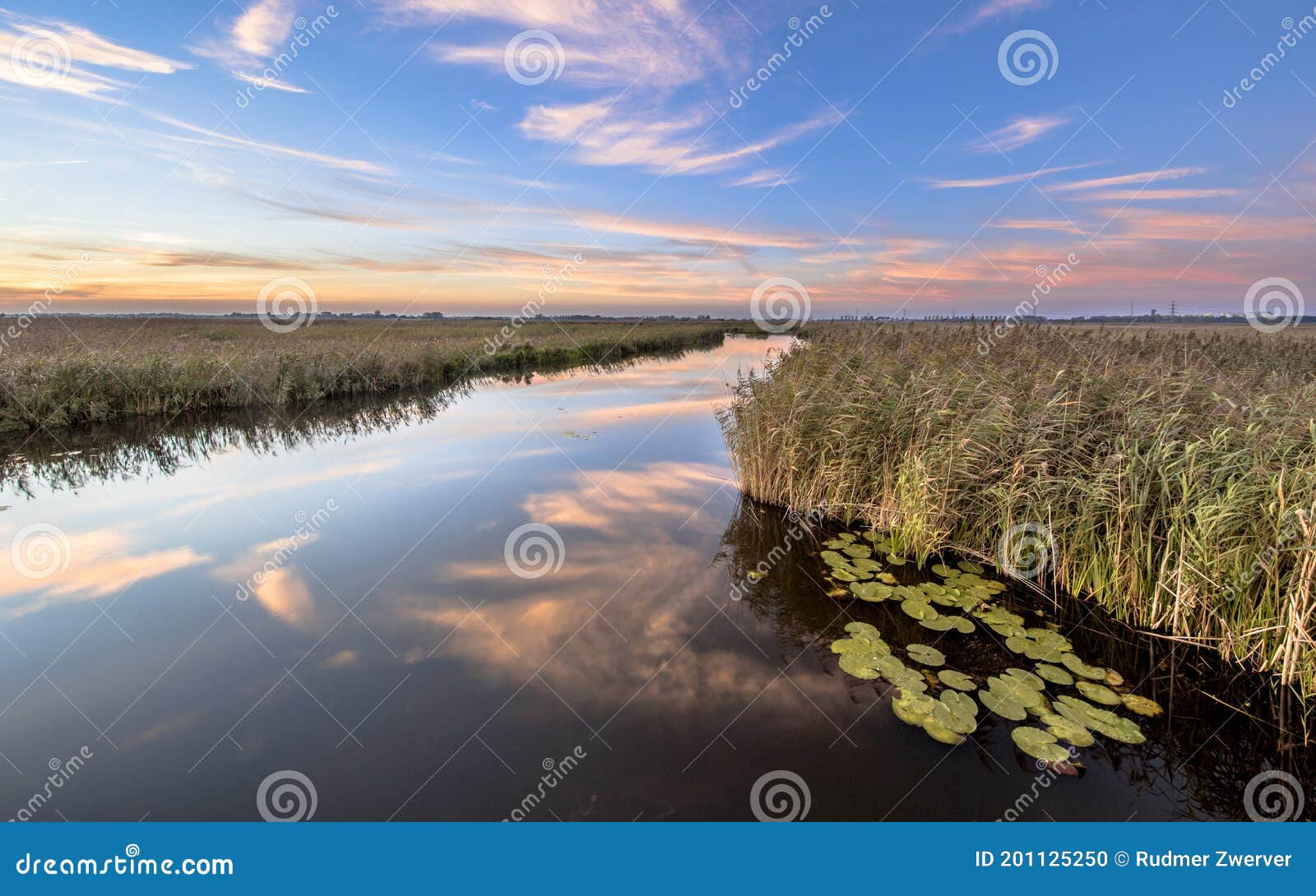 Río a Través De Marismas Con Lirio Flotante Foto de archivo - Imagen de  lirio, agua: 201125250