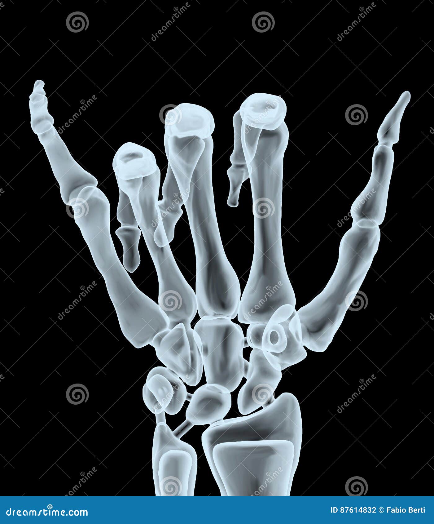Loose bones. Рентген ладони. Скелет руки рентген. Стеклянный скелет. Прозрачные руки скелет.