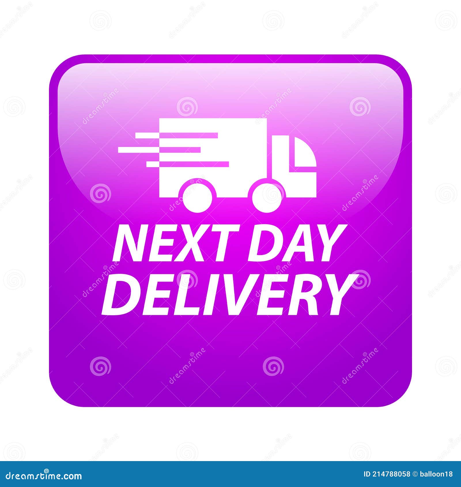 Next Day Delivery Icon Button Stock Vector - Illustration of buyer