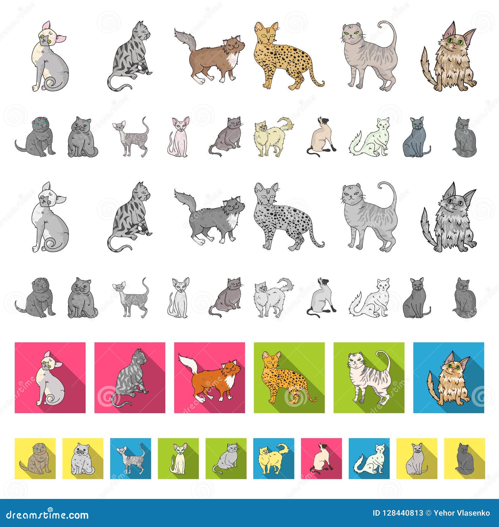 Coleção de vetores de desenhos animados de raças de gatos diferentes tipos  de gatinhos de desenhos animados vetoriais definem ilustração