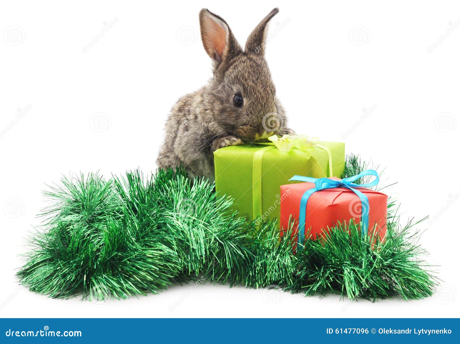Rabbit with Christmas Gifts. Stock Photo Image of cute, young 61477096