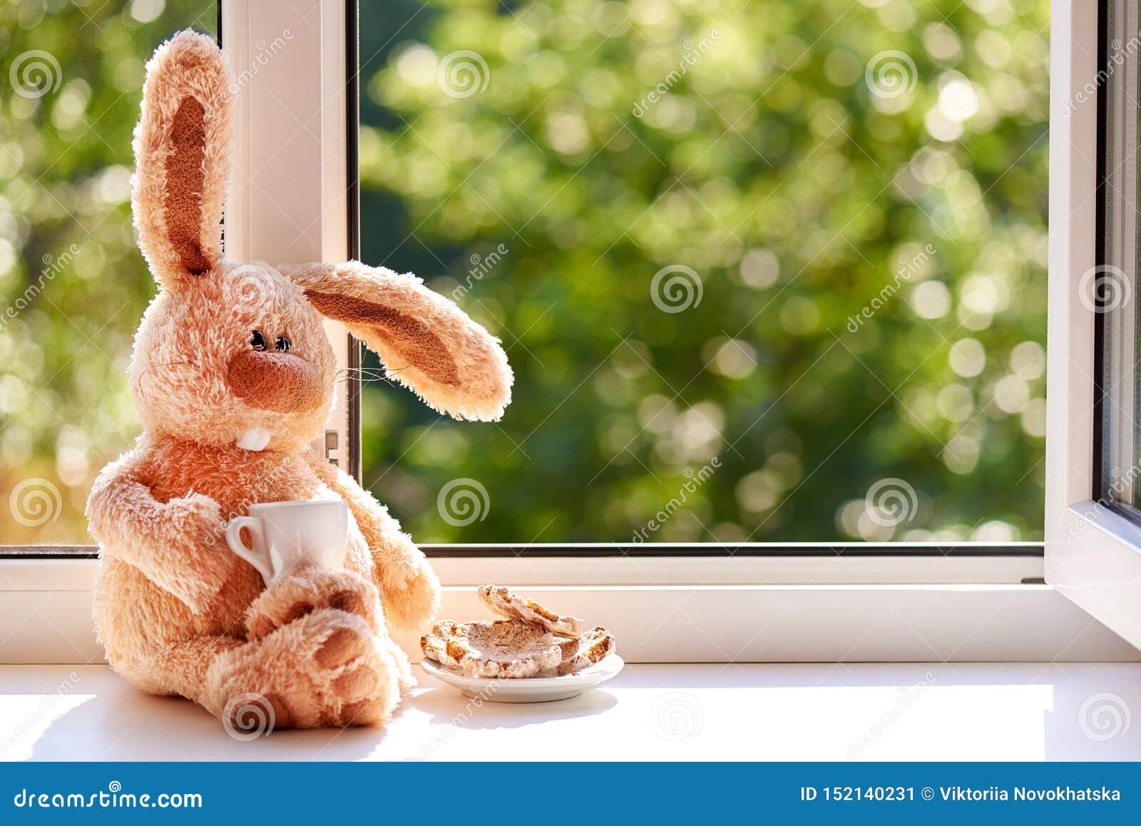 Rabbit With A Cup Of Coffee And Biscuits In The Morning Near The Open ... Open Window At Morning