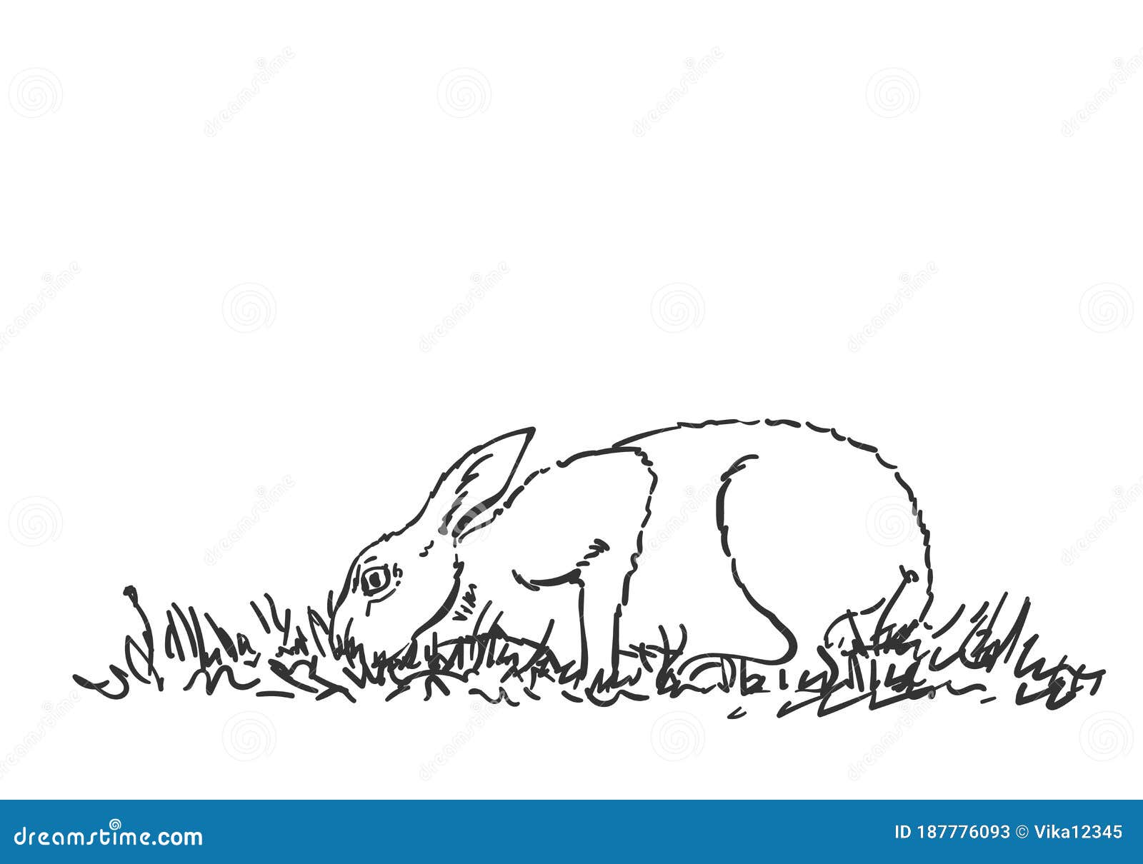 Rabbit Eating Grass Stock Illustrations 130 Rabbit Eating Grass Stock