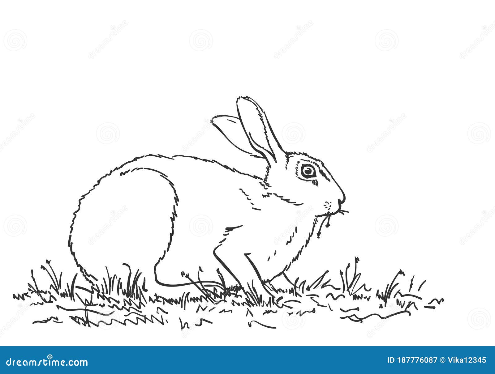 Rabbit Eating Grass, Hand Drawn Stock Vector Illustration of rabbit