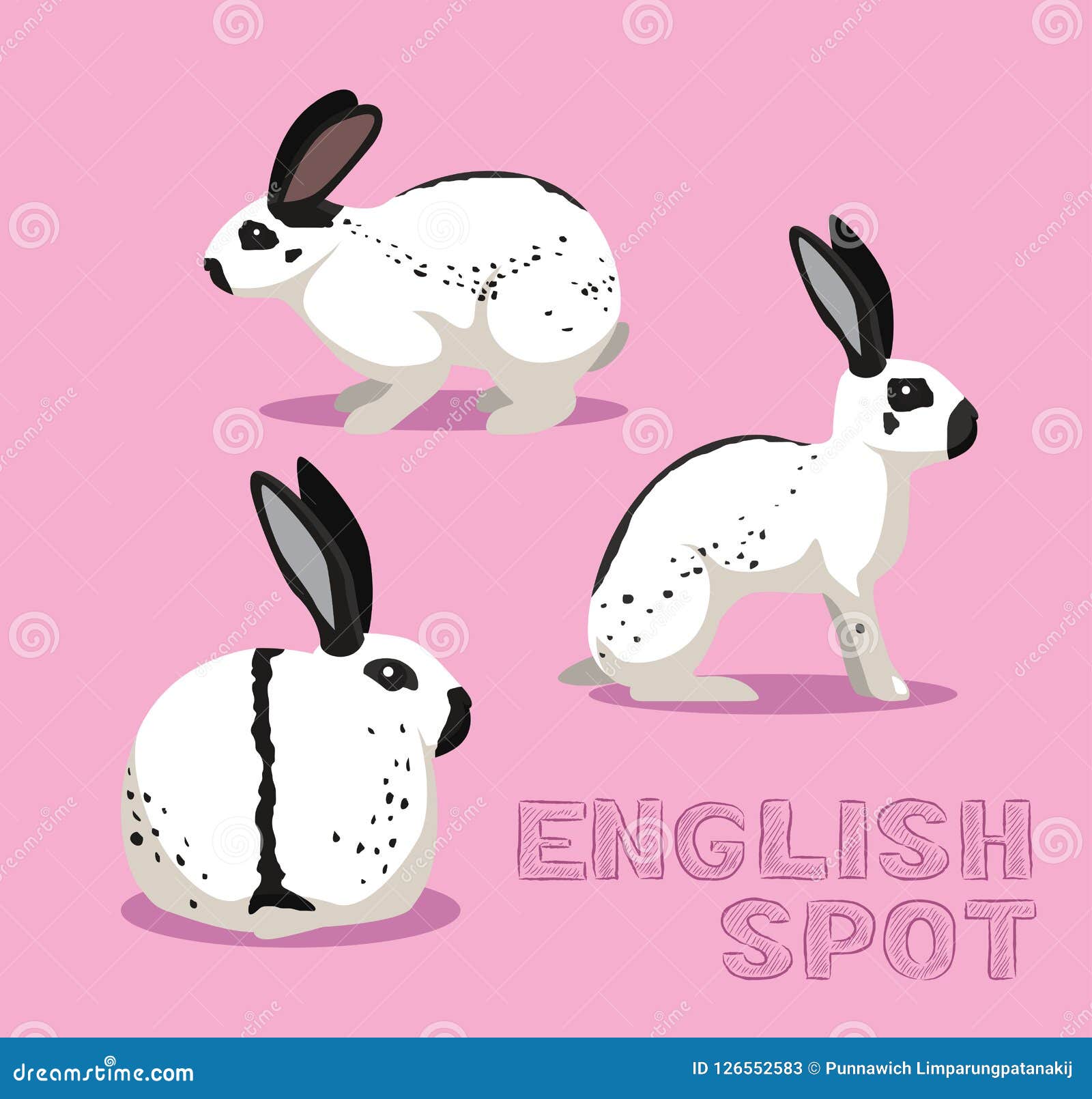 Английский кролики 2 2. Кролик по английскому. Шрифт с кроликом на английском. Карточки от spot cartoon. Spot cartoon все карточки.