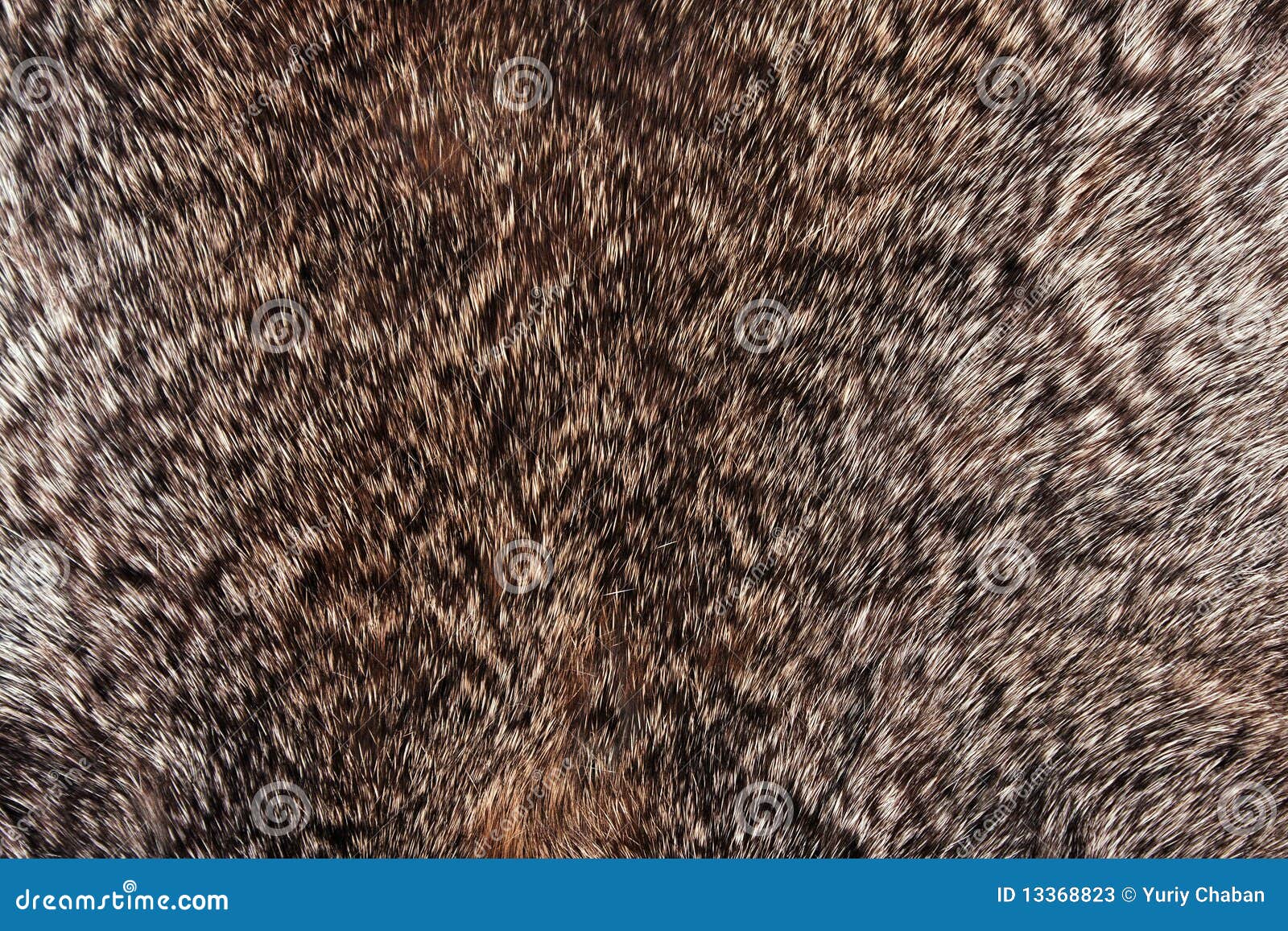 rabbit fur texture