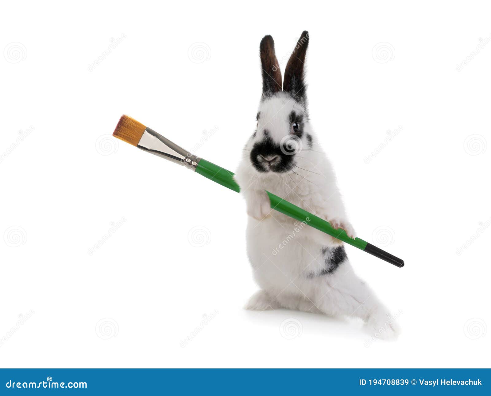 Rabbit Holds a Brush for Painting Isolated on White Background Stock