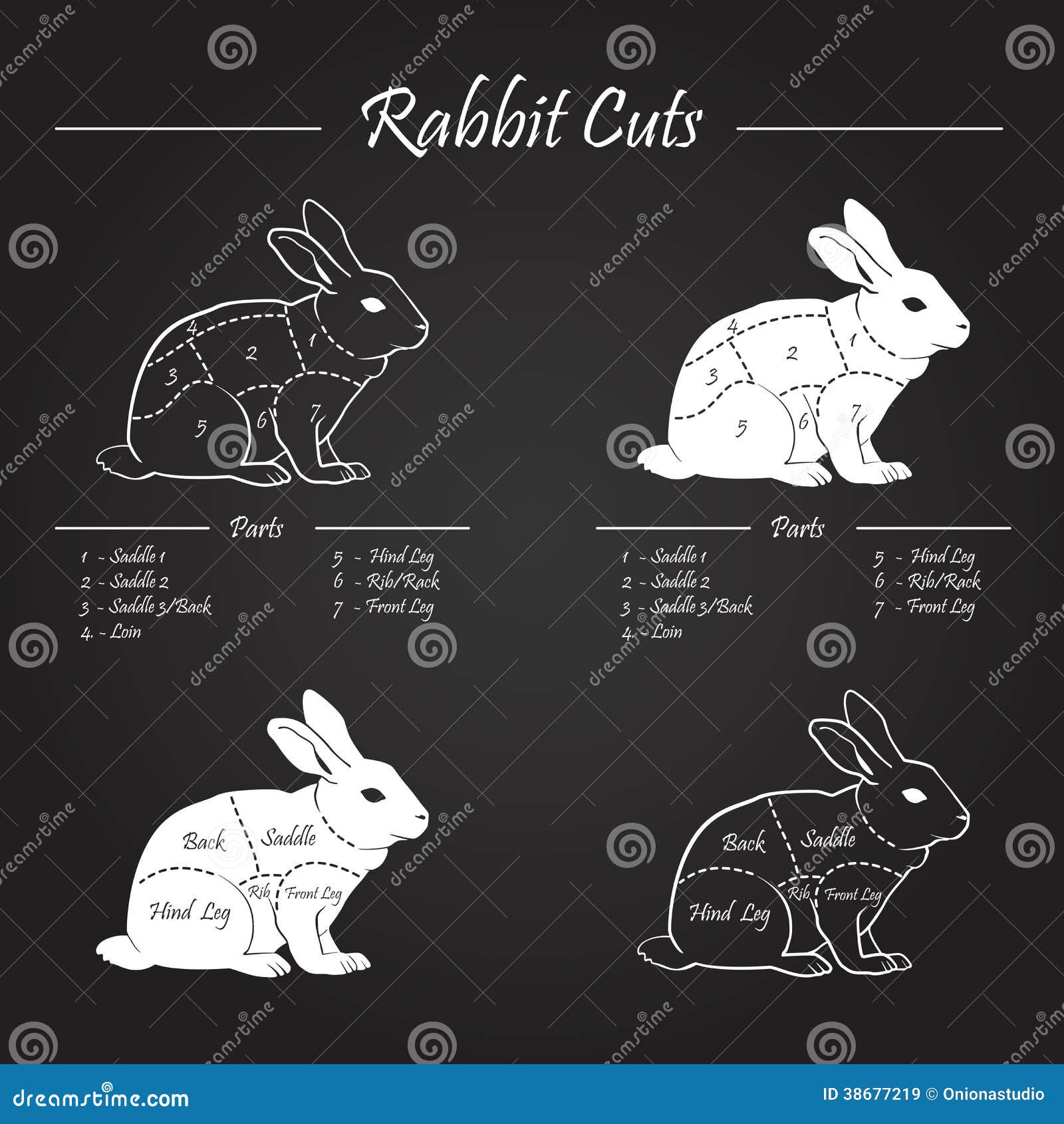 Rabbit Parts Chart