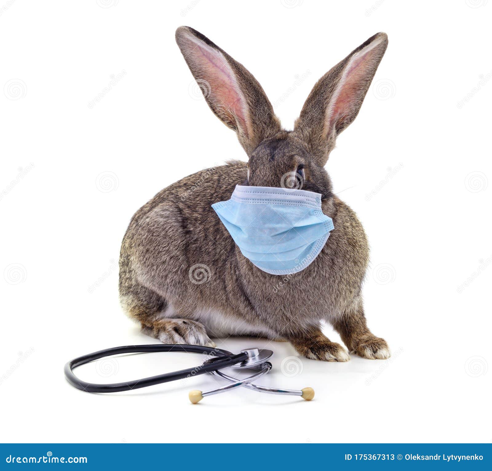 Rabbit in the medical mask stock image. Image of medicine 175367313