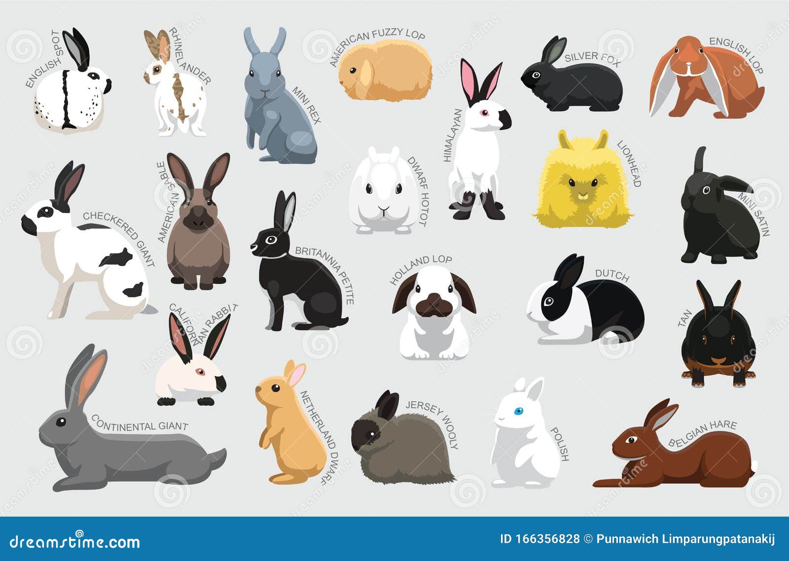 Rabbits Watercolor Clipart, Bunnies Png, Bunnies Different Breeds Of ...