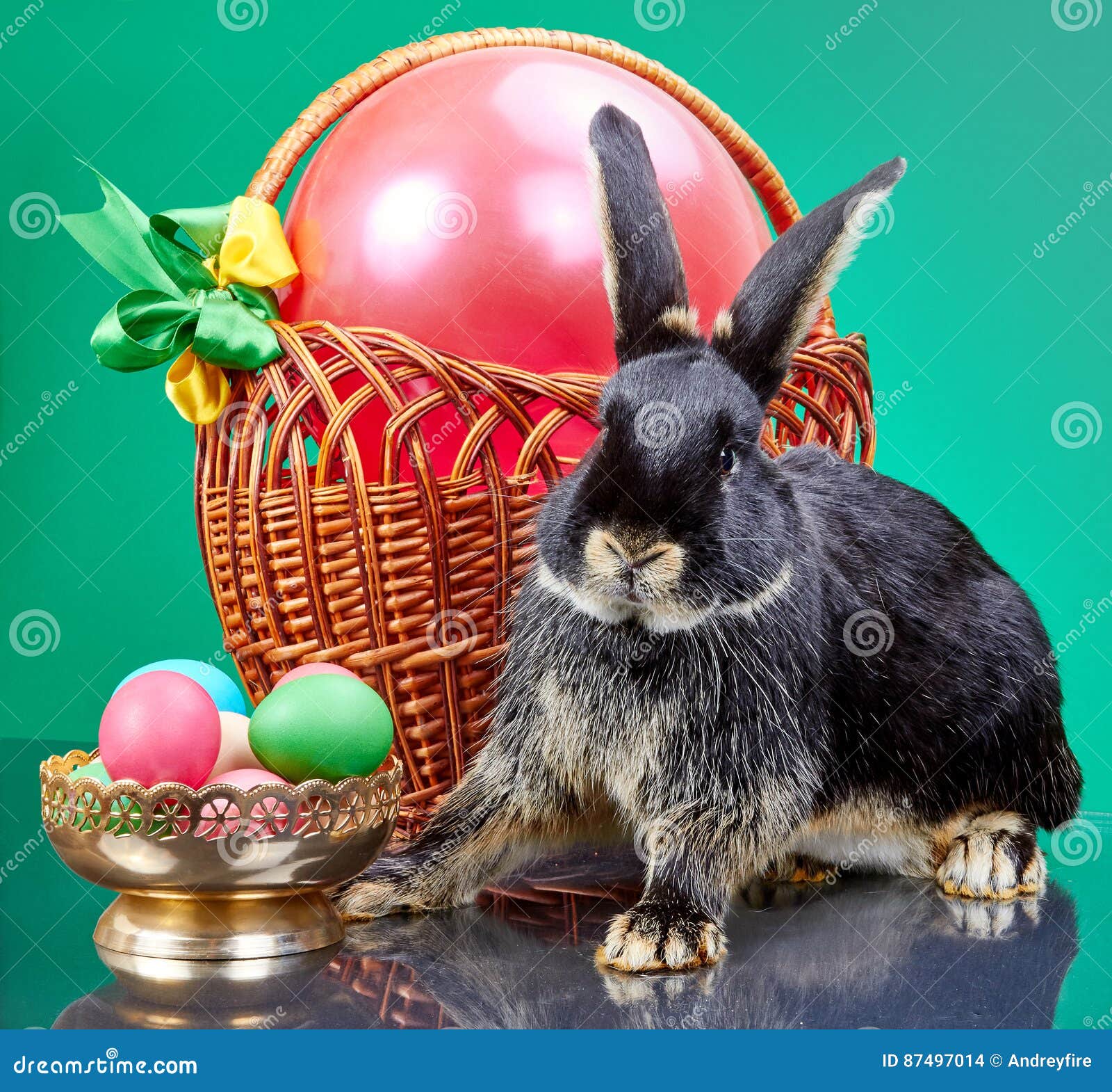 Rabbit Sits Near To Easter Baskets Stock Photo Image of bunny