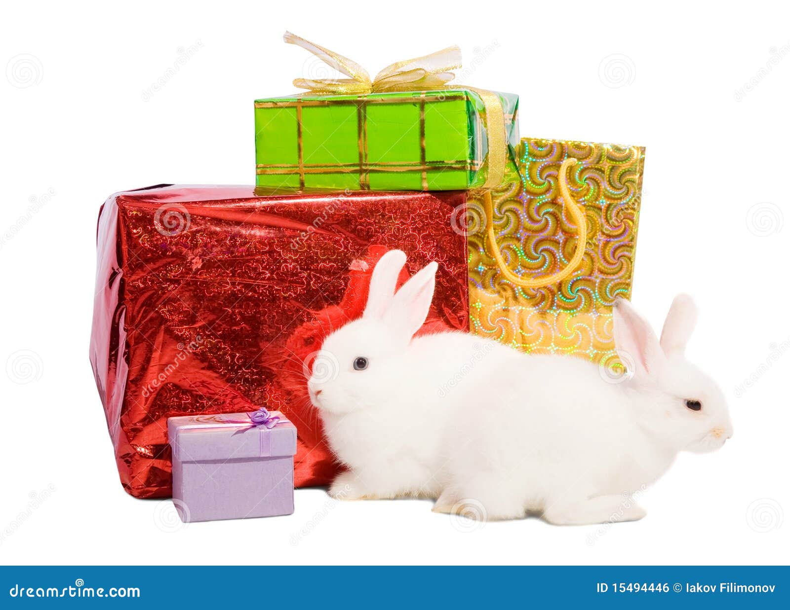 Rabbits with gifts stock photo. Image of bunny, luxury 15494446