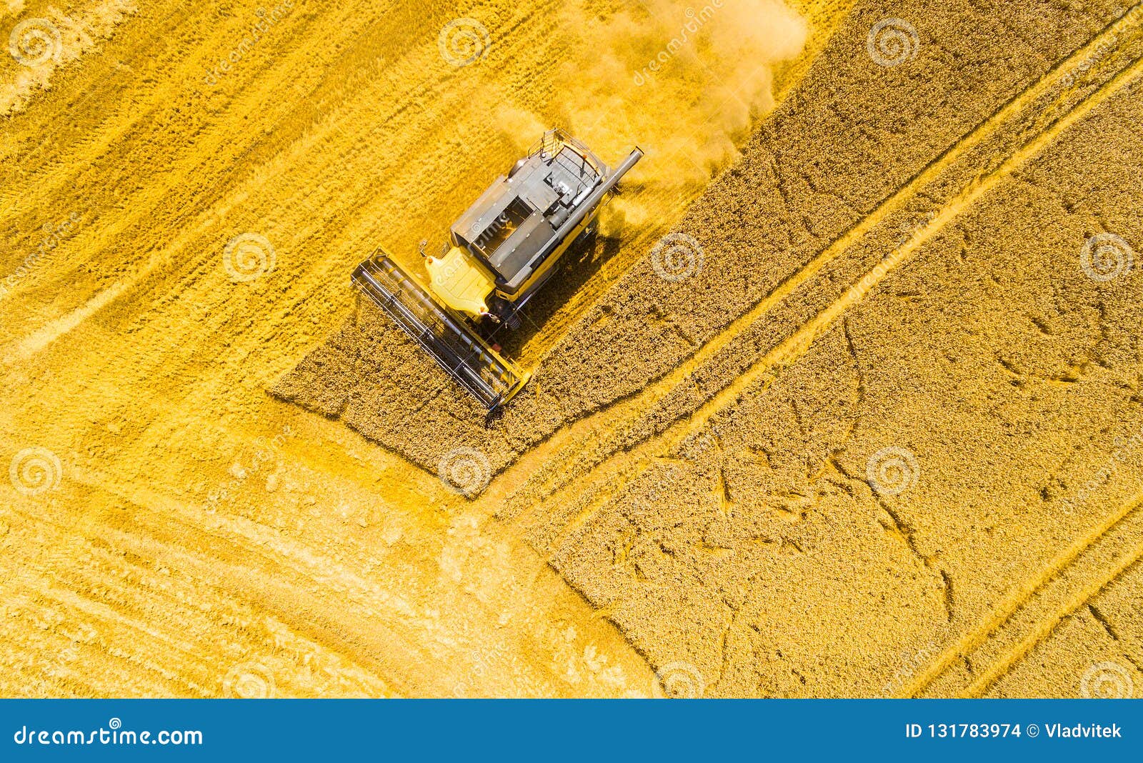 Vista aerea della mietitrebbiatrice Raccolto del giacimento di grano Fondo industriale sul tema agricolo Produzione del combustibile biologico da sopra Agricoltura ed ambiente nell'Unione Europea