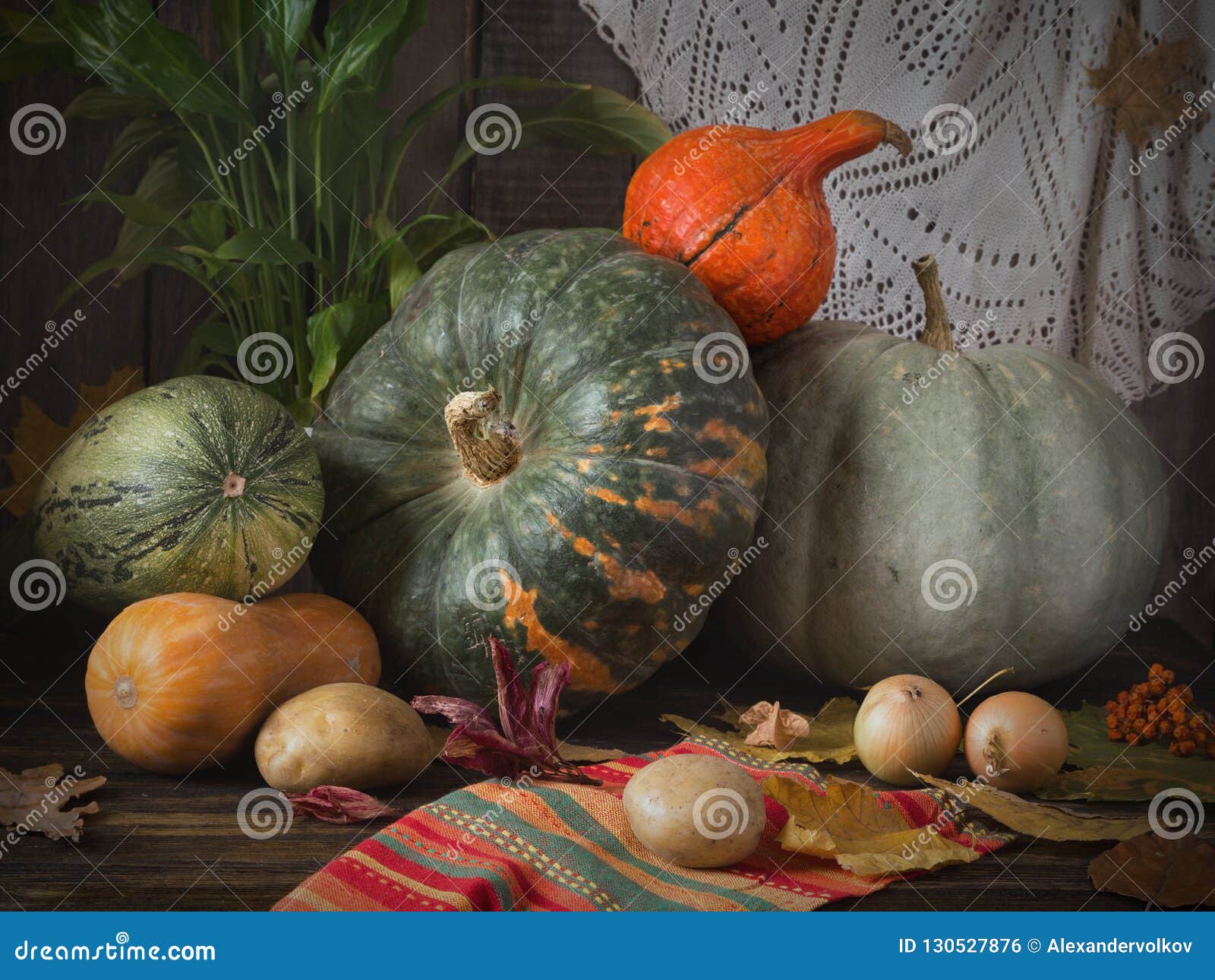 Raccolto Di Autunno Di Natura Morta Con I Vari Tipi Di Zucche Fotografia Stock Immagine Di Fogli Zucca