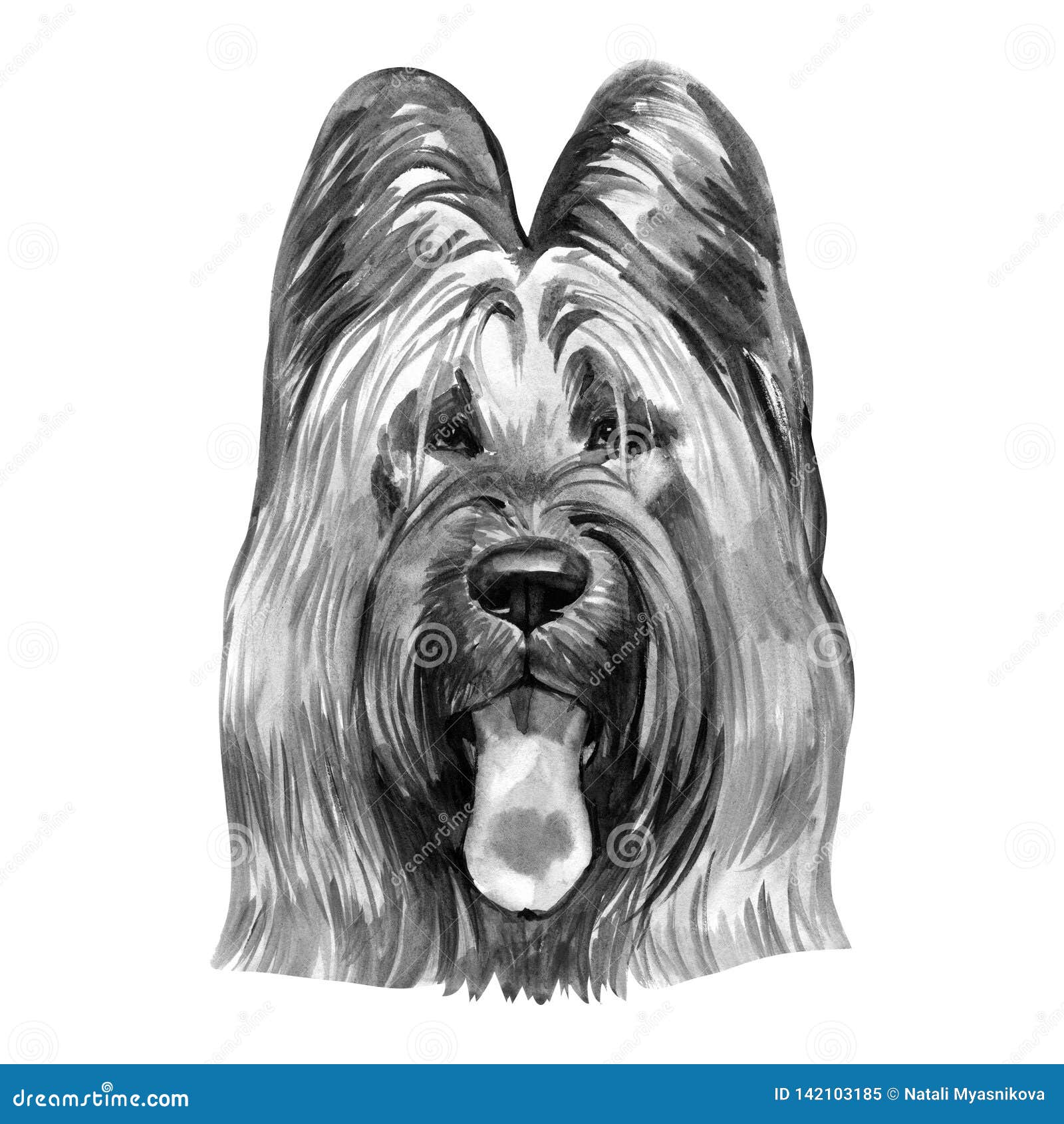 Race De Chien De Briard Disolement Sur Lillustration