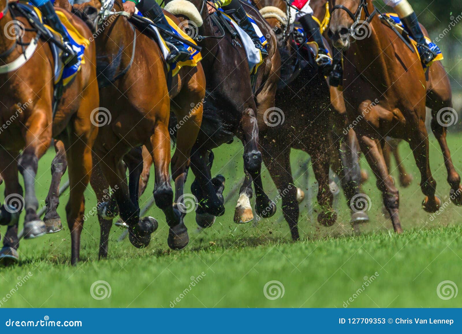 race horses running legs hoofs track close up