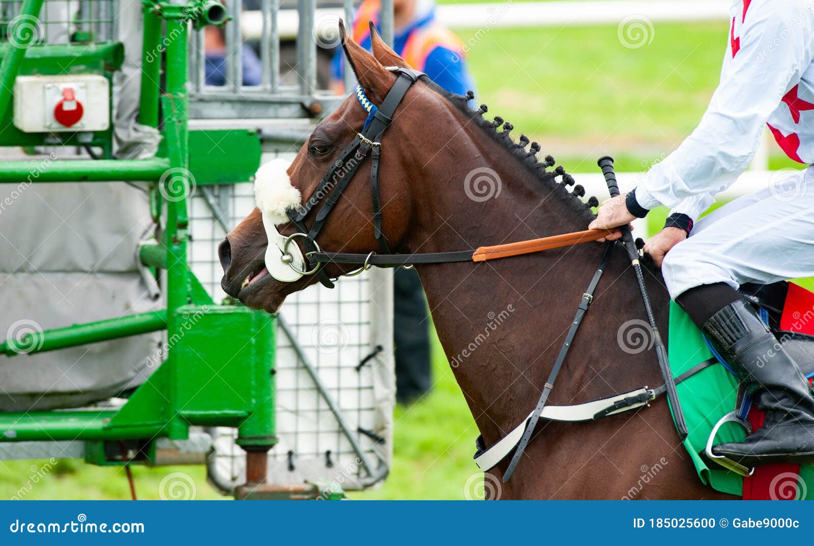 226 Horse Race Starting Gate Photos Free Royalty Free Stock Photos From Dreamstime 226 Horse Race Starting Gate Photos Free Royalty Free Stock Photos From Dreamstime