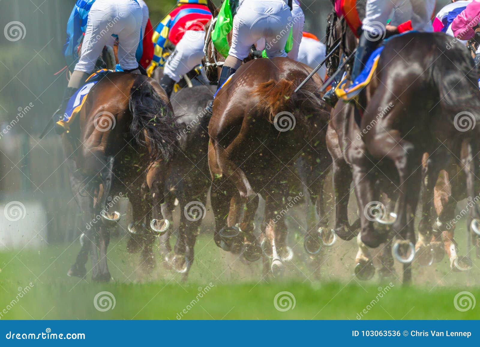 horse racing legs hoofs