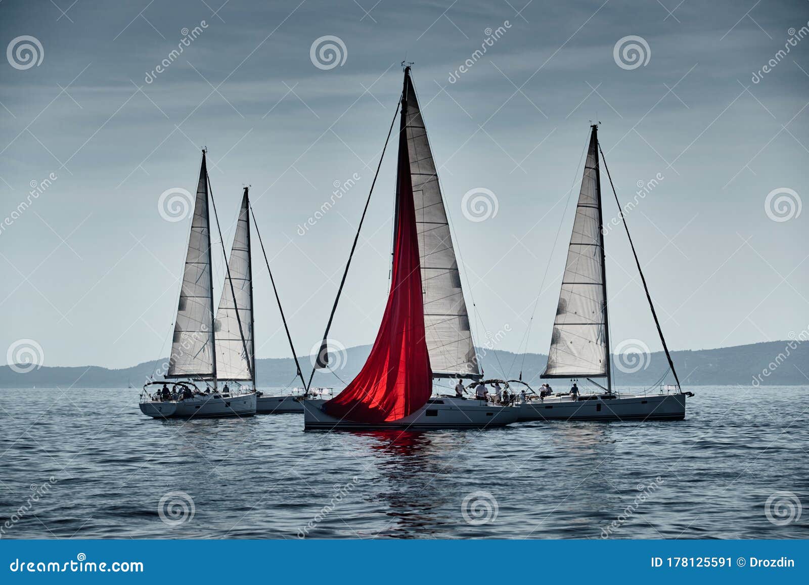 sailboats regatta