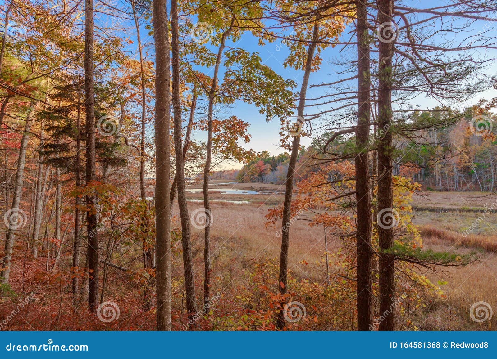 rachel carson national wildlife refuge landscape